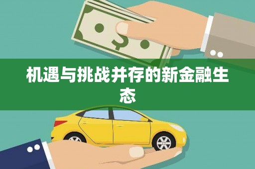 新蔡机遇与挑战并存的新金融生态