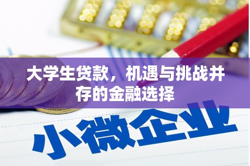 东宝大学生贷款，机遇与挑战并存的金融选择