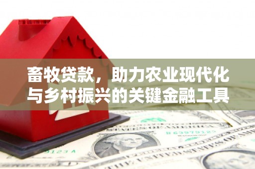 蒙阴畜牧贷款，助力农业现代化与乡村振兴的关键金融工具