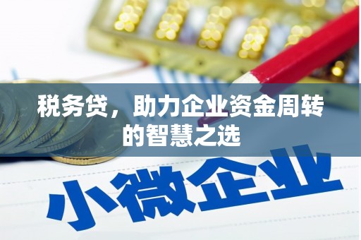 定兴税务贷，助力企业资金周转的智慧之选