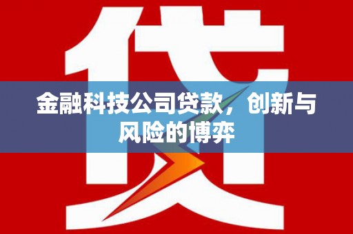 通道金融科技公司贷款，创新与风险的博弈