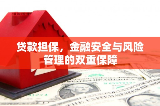 雨花贷款担保，金融安全与风险管理的双重保障