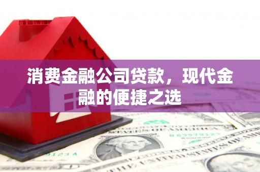 水林消费金融公司贷款，现代金融的便捷之选