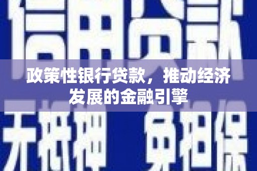 屏南政策性银行贷款，推动经济发展的金融引擎