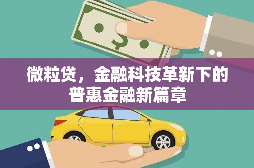 莎车微粒贷，金融科技革新下的普惠金融新篇章