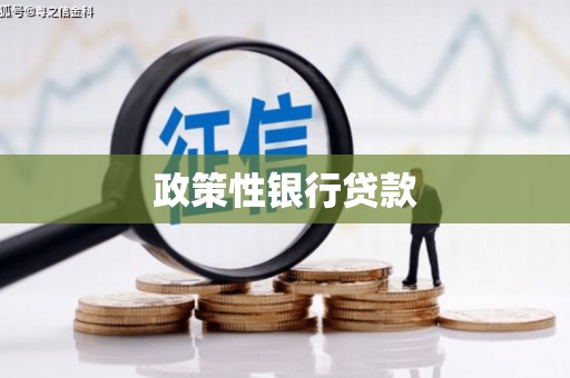 东风政策性银行贷款