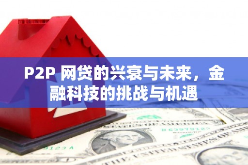 武隆P2P 网贷的兴衰与未来，金融科技的挑战与机遇