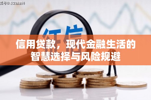 京口信用贷款，现代金融生活的智慧选择与风险规避