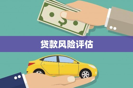 林西贷款风险评估