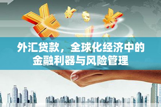 永年外汇贷款，全球化经济中的金融利器与风险管理