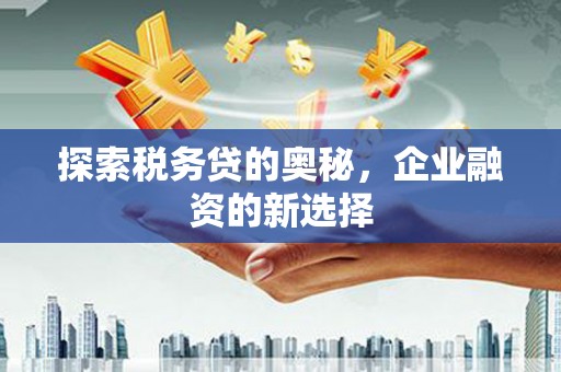 宽甸探索税务贷的奥秘，企业融资的新选择