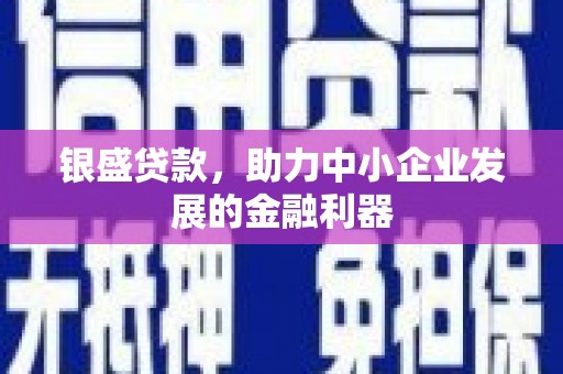 温州银盛贷款，助力中小企业发展的金融利器