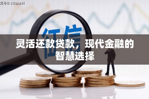 平江灵活还款贷款，现代金融的智慧选择