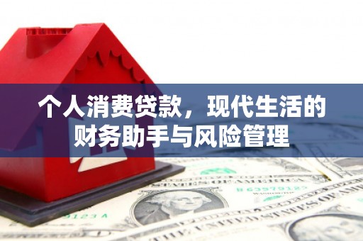 南山个人消费贷款，现代生活的财务助手与风险管理