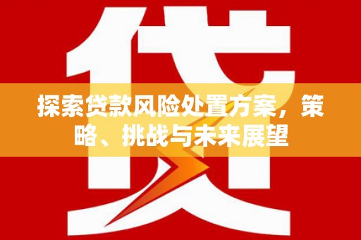 安仁探索贷款风险处置方案，策略、挑战与未来展望