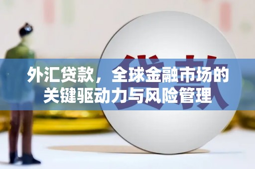 普湾新区外汇贷款，全球金融市场的关键驱动力与风险管理