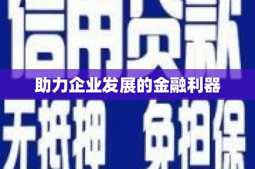 玛沁助力企业发展的金融利器