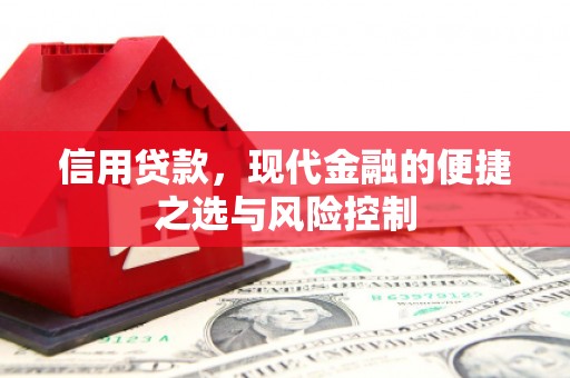邵阳县信用贷款，现代金融的便捷之选与风险控制