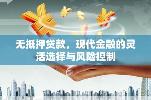 泸水无抵押贷款，现代金融的灵活选择与风险控制