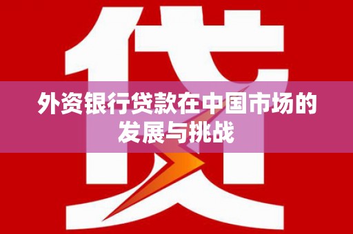 郁南外资银行贷款在中国市场的发展与挑战