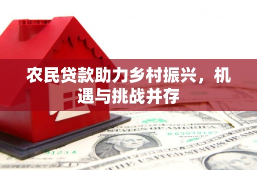 汝南农民贷款助力乡村振兴，机遇与挑战并存