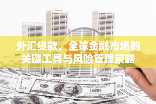 浦东外汇贷款，全球金融市场的关键工具与风险管理策略