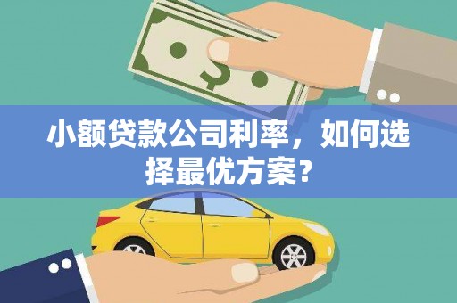武鸣小额贷款公司利率，如何选择最优方案？