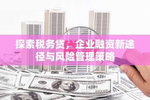 林甸探索税务贷，企业融资新途径与风险管理策略