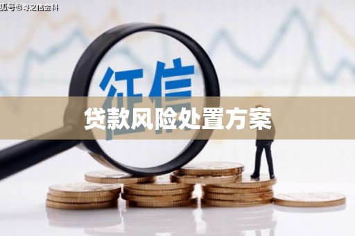 屯留贷款风险处置方案