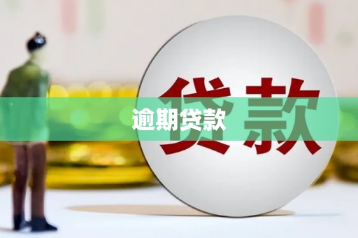 潮州逾期贷款