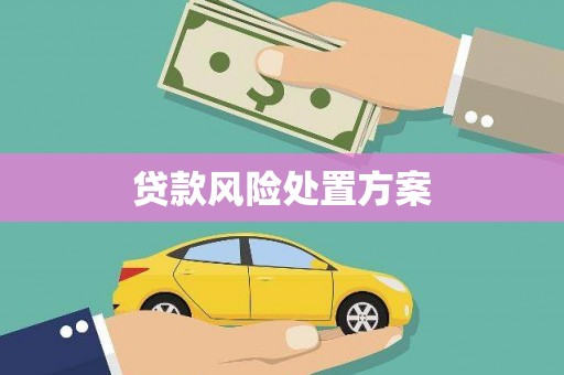 安乐贷款风险处置方案