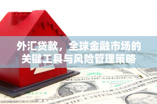 长洲外汇贷款，全球金融市场的关键工具与风险管理策略