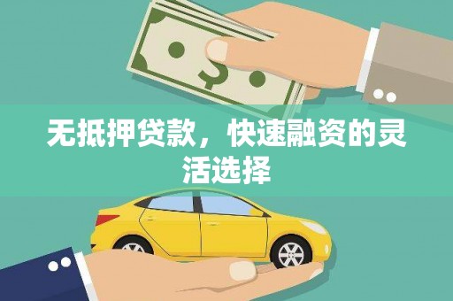 田林无抵押贷款，快速融资的灵活选择