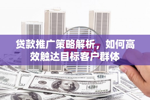 东明贷款推广策略解析，如何高效触达目标客户群体