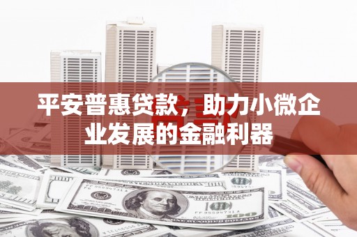 八宿平安普惠贷款，助力小微企业发展的金融利器
