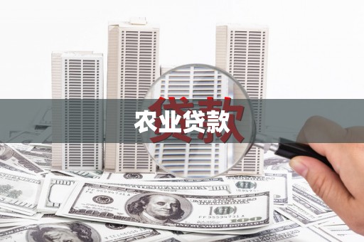 霍林郭勒农业贷款