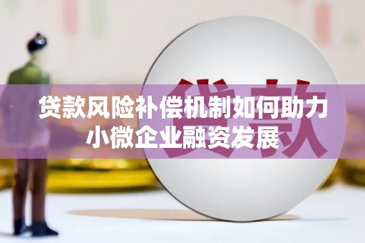 成武贷款风险补偿机制如何助力小微企业融资发展