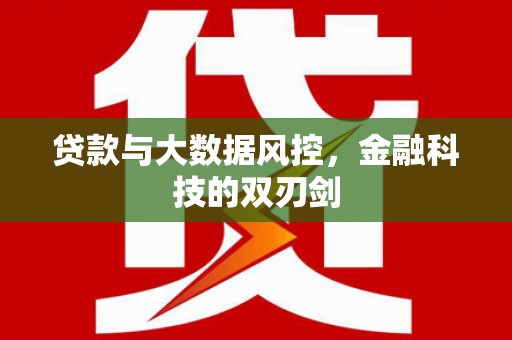 寿丰贷款与大数据风控，金融科技的双刃剑