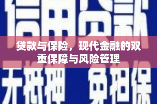 山东贷款与保险，现代金融的双重保障与风险管理