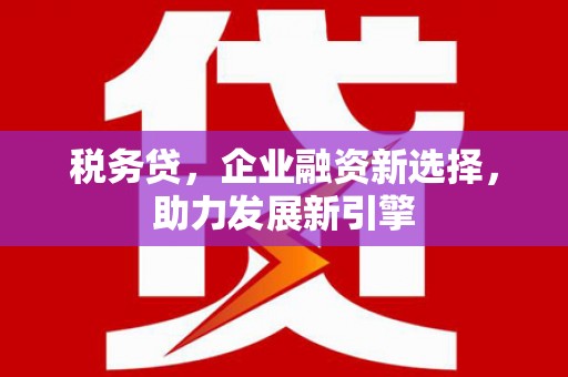洞头税务贷，企业融资新选择，助力发展新引擎