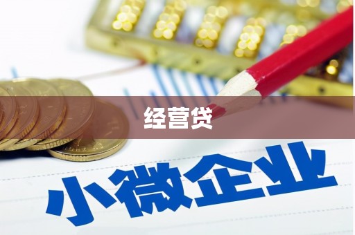 南竿经营贷