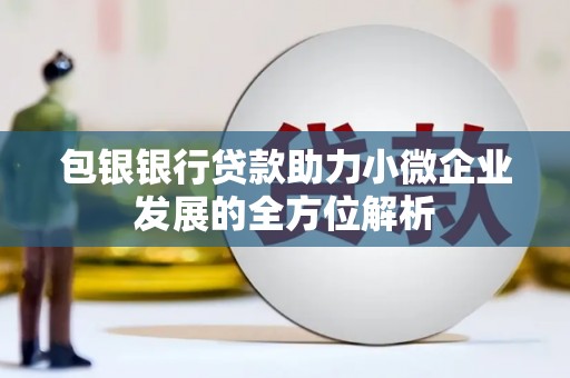 双河包银银行贷款助力小微企业发展的全方位解析