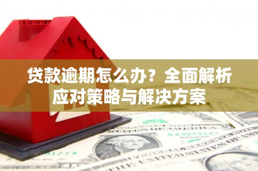 田家庵贷款逾期怎么办？全面解析应对策略与解决方案