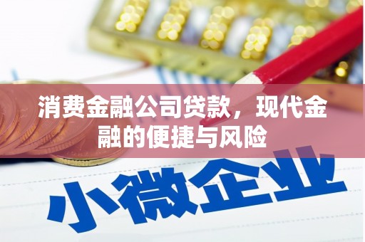 保亭消费金融公司贷款，现代金融的便捷与风险