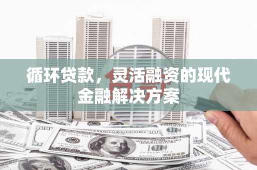 盐池循环贷款，灵活融资的现代金融解决方案