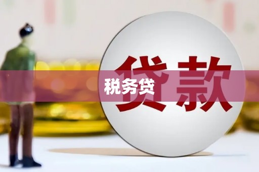 宁波税务贷