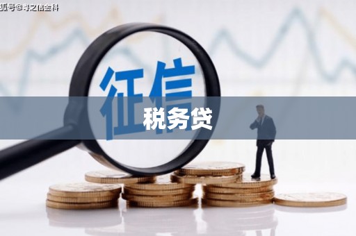 慈溪税务贷