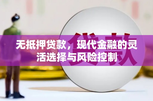 大城无抵押贷款，现代金融的灵活选择与风险控制