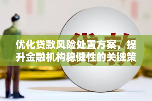 高阳优化贷款风险处置方案，提升金融机构稳健性的关键策略