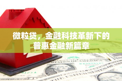 肥乡微粒贷，金融科技革新下的普惠金融新篇章